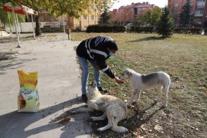 Erzincan Belediyesi Sokak Hayvanlarını Unutmadı 