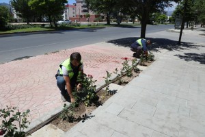 Erzincan Belediyesi çalışmalarını aralıksız sürdürüyor