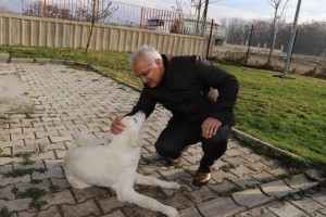 Erzincan Belediye Başkanı Cemalettin Başsoy Hayvan Bakım Evi’ni denetledi. 